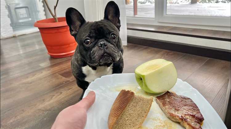 Types of bread that French Bulldogs should avoid: