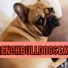 can french bulldogs eat pork